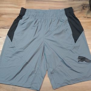 PUMA Shorts Men's dry cell BRAND NEW